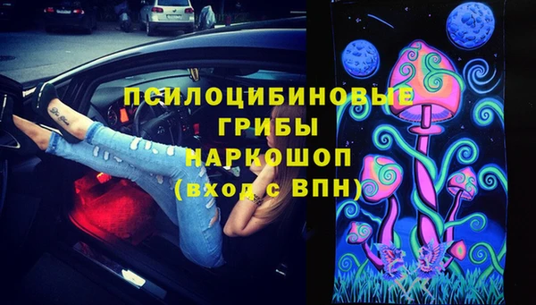 крисы Алексеевка