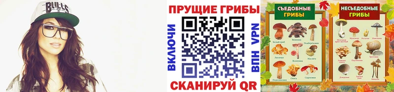 Псилоцибиновые грибы Cubensis  продажа наркотиков  omg ссылки  Новочебоксарск 