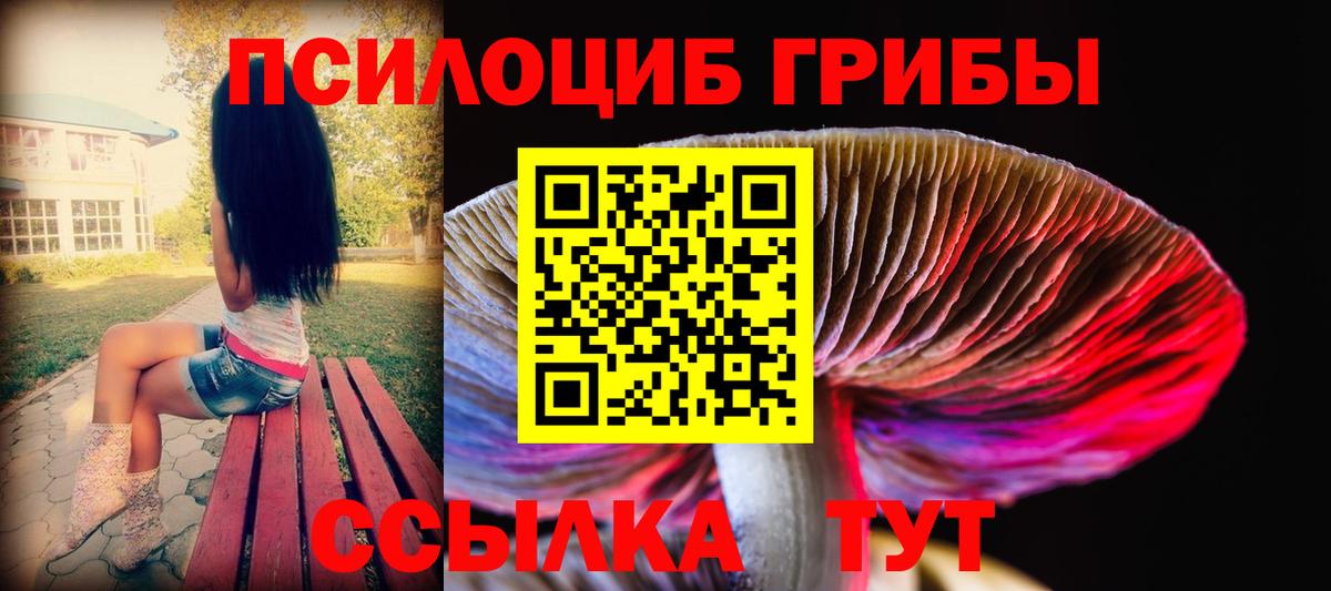 Псилоцибиновые грибы Cubensis Новочебоксарск