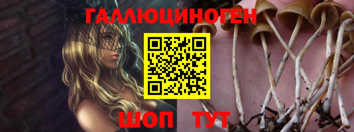 Cocaine  Вход с VPN  МЕФ кристаллы  Новочебоксарск  Марихуана  ГАШИШ 
