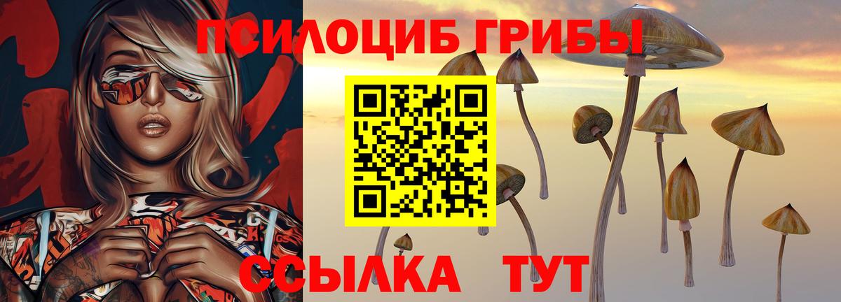 Галлюциногенные грибы Cubensis Новочебоксарск